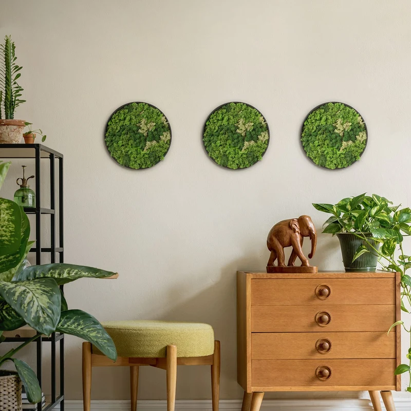 ECD GERMANY | Moosbild mit echtem Islandmoos, Rund, Ø 30 cm, Grün, Mooswand Indoor, Wanddeko mit Holzrahmen, Wandbild, Moos Deko für Haus & Büro
