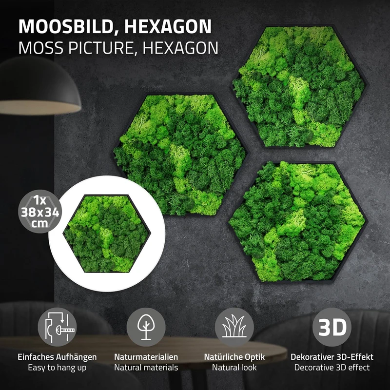 ECD GERMANY | Moosbild mit echtem Islandmoos, Hexagon 38x34 cm, Grün, Mooswand Indoor, Wanddeko mit Holzrahmen, Wandbild, Moos Deko für Haus & Büro
