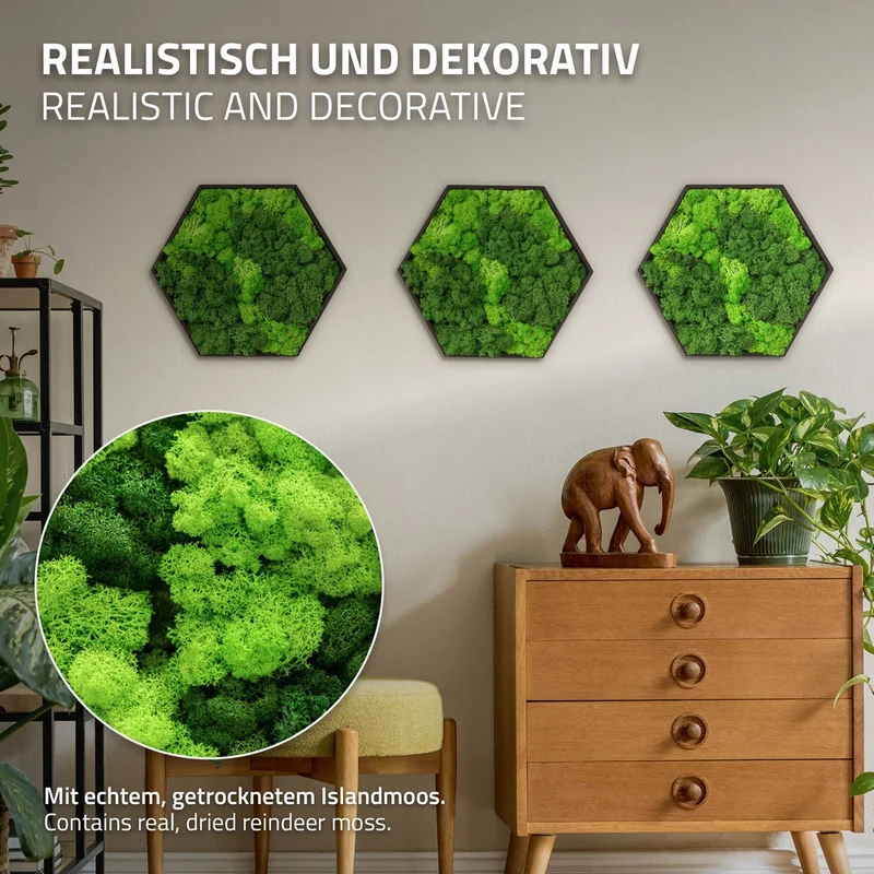 ECD GERMANY | Moosbild mit echtem Islandmoos, Hexagon 38x34 cm, Grün, Mooswand Indoor, Wanddeko mit Holzrahmen, Wandbild, Moos Deko für Haus & Büro