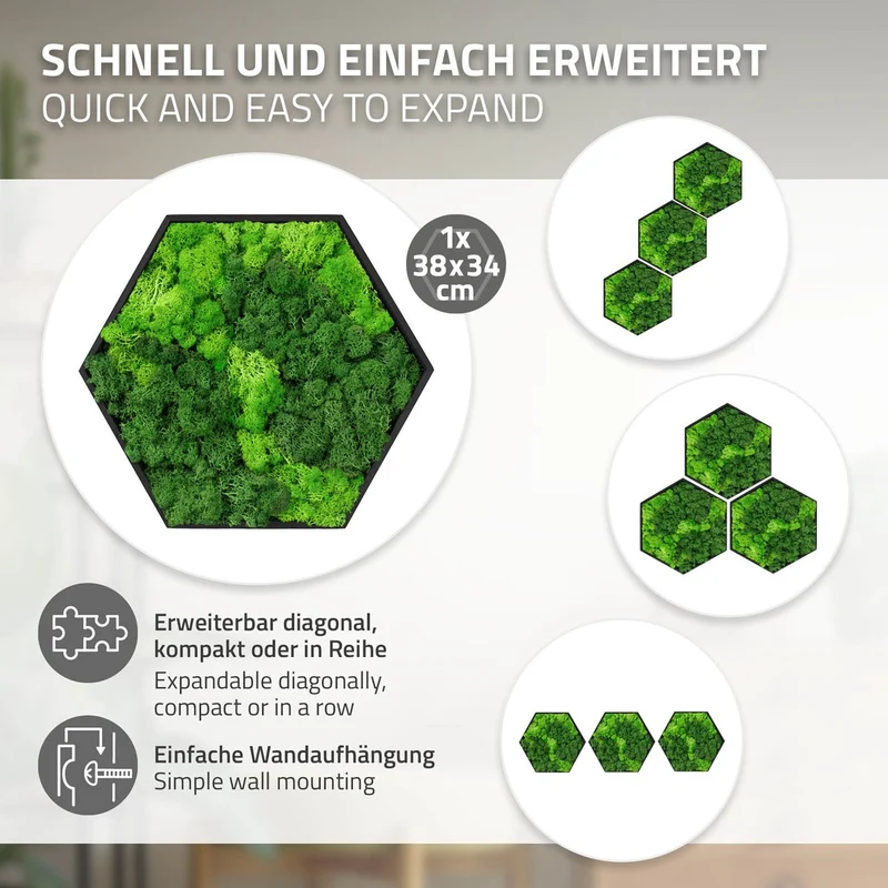 ECD GERMANY | Moosbild mit echtem Islandmoos, Hexagon 38x34 cm, Grün, Mooswand Indoor, Wanddeko mit Holzrahmen, Wandbild, Moos Deko für Haus & Büro
