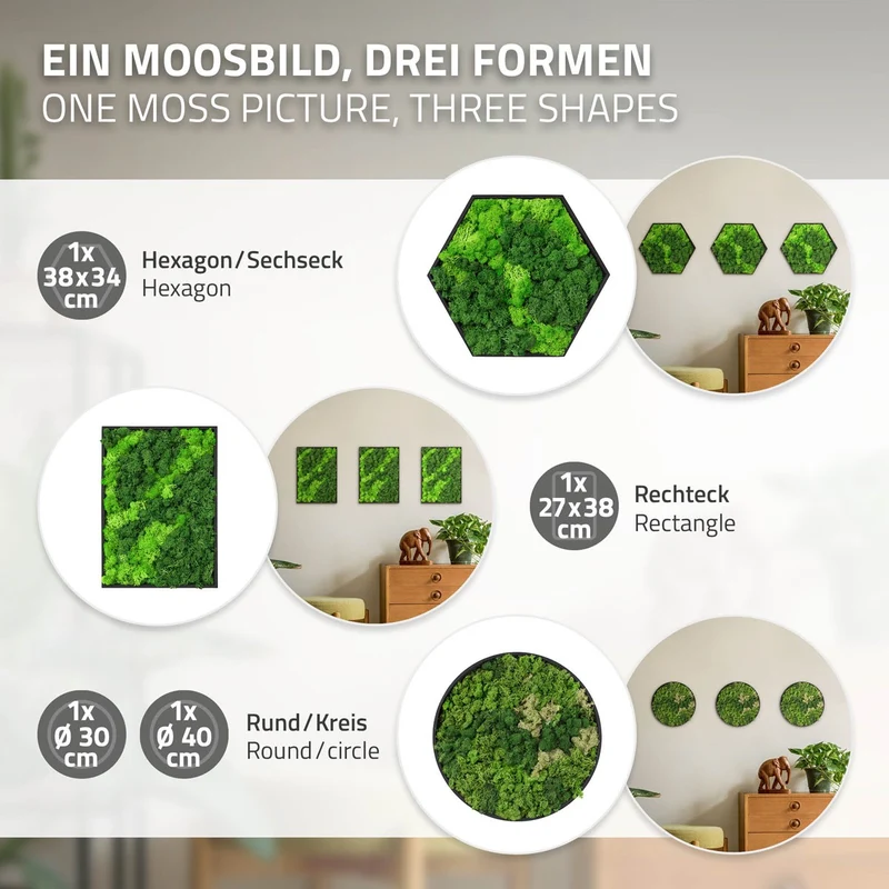ECD GERMANY | Moosbild mit echtem Islandmoos, Hexagon 38x34 cm, Grün, Mooswand Indoor, Wanddeko mit Holzrahmen, Wandbild, Moos Deko für Haus & Büro
