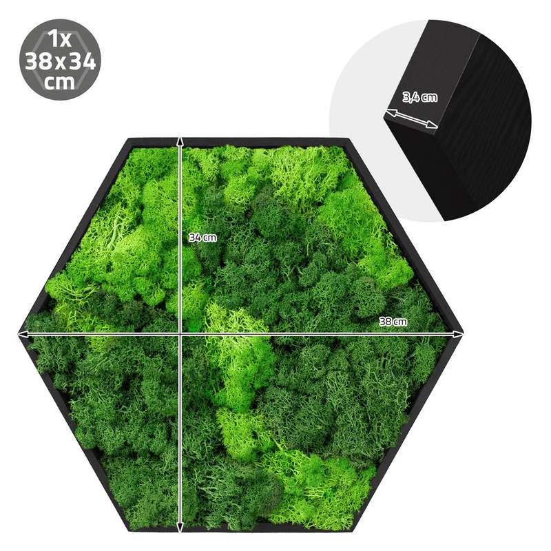 ECD GERMANY | Moosbild mit echtem Islandmoos, Hexagon 38x34 cm, Grün, Mooswand Indoor, Wanddeko mit Holzrahmen, Wandbild, Moos Deko für Haus & Büro