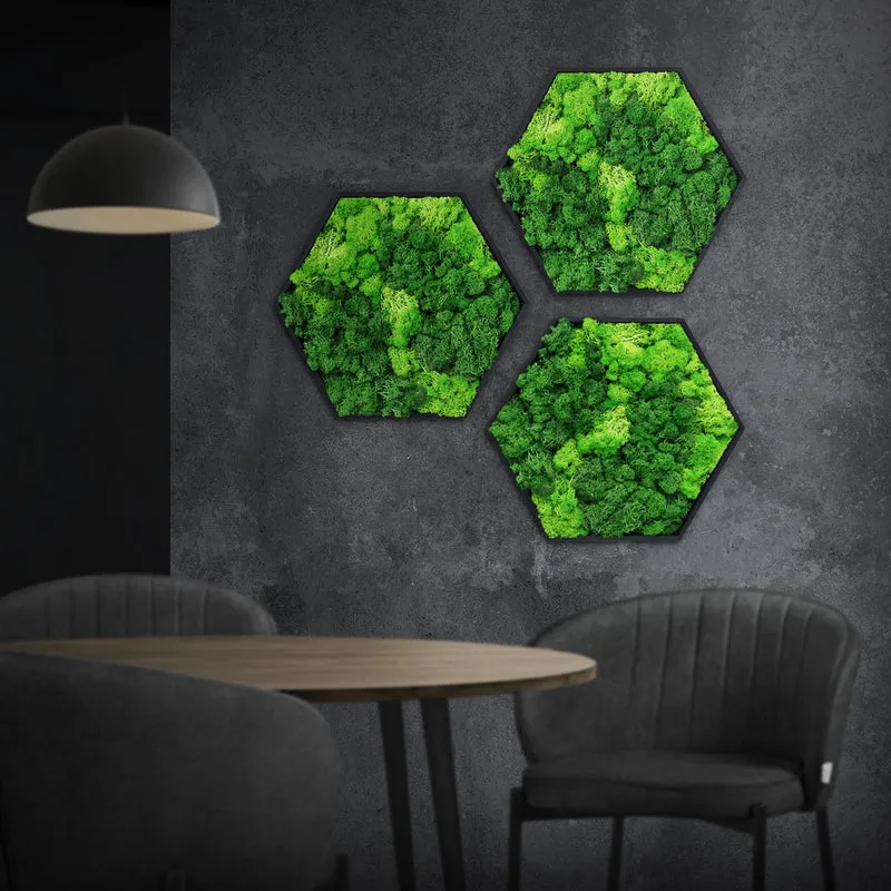 ECD GERMANY | Moosbild mit echtem Islandmoos, Hexagon 38x34 cm, Grün, Mooswand Indoor, Wanddeko mit Holzrahmen, Wandbild, Moos Deko für Haus & Büro