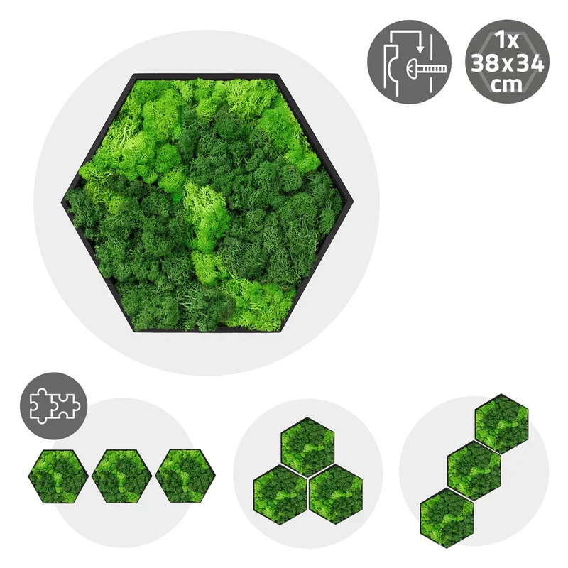 ECD GERMANY | Moosbild mit echtem Islandmoos, Hexagon 38x34 cm, Grün, Mooswand Indoor, Wanddeko mit Holzrahmen, Wandbild, Moos Deko für Haus & Büro