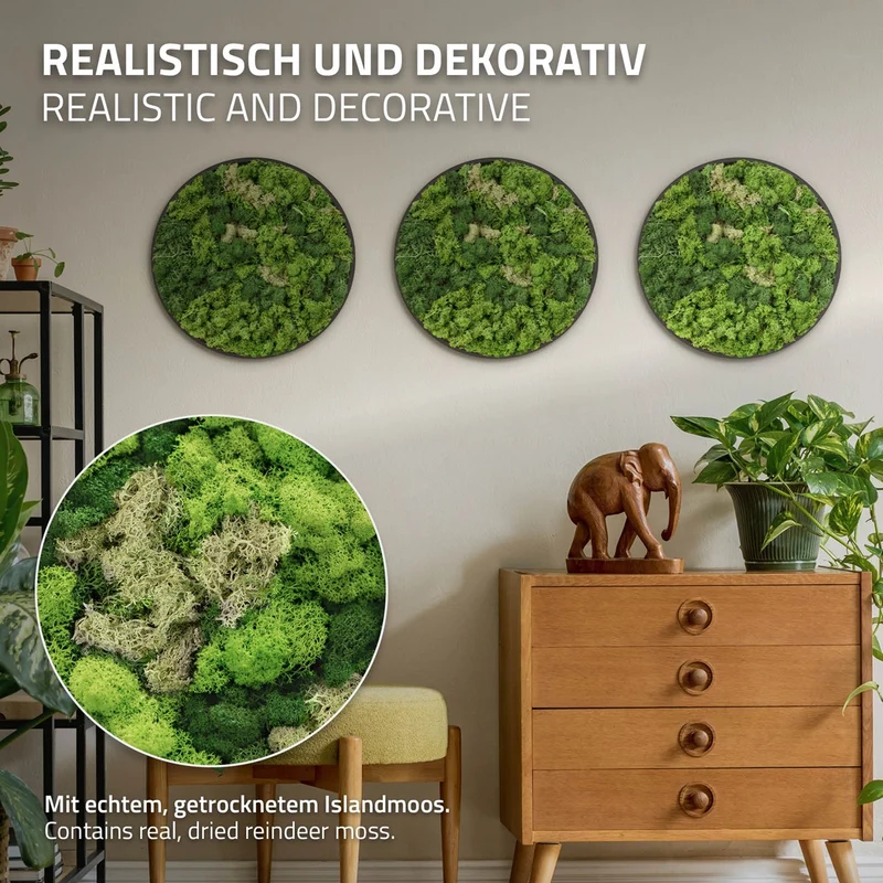 ECD GERMANY | Moosbild mit echtem Islandmoos, Rund, Ø 40 cm, Grün, Mooswand Indoor, Wanddeko mit Holzrahmen, Wandbild, Moos Deko für Haus & Büro