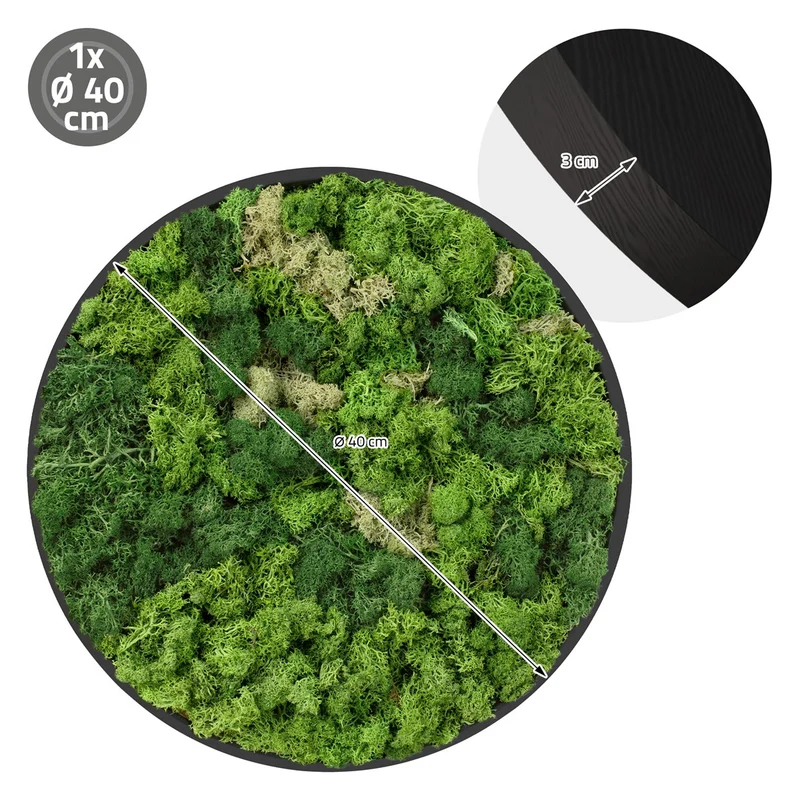 ECD GERMANY | Moosbild mit echtem Islandmoos, Rund, Ø 40 cm, Grün, Mooswand Indoor, Wanddeko mit Holzrahmen, Wandbild, Moos Deko für Haus & Büro