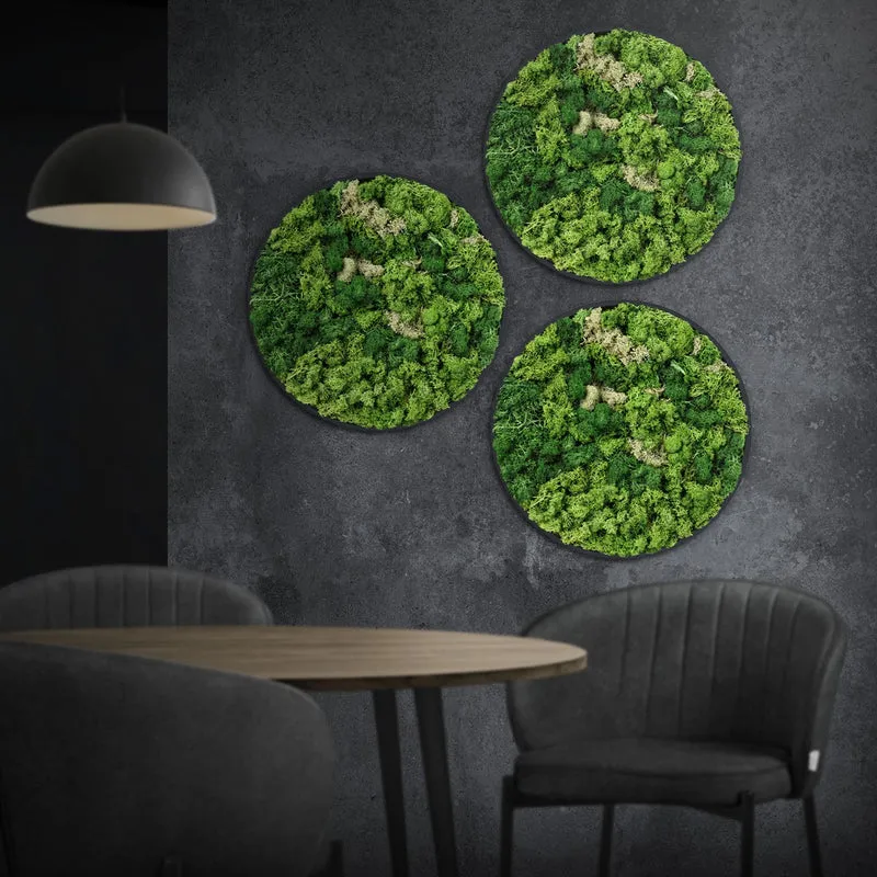 ECD GERMANY | Moosbild mit echtem Islandmoos, Rund, Ø 40 cm, Grün, Mooswand Indoor, Wanddeko mit Holzrahmen, Wandbild, Moos Deko für Haus & Büro