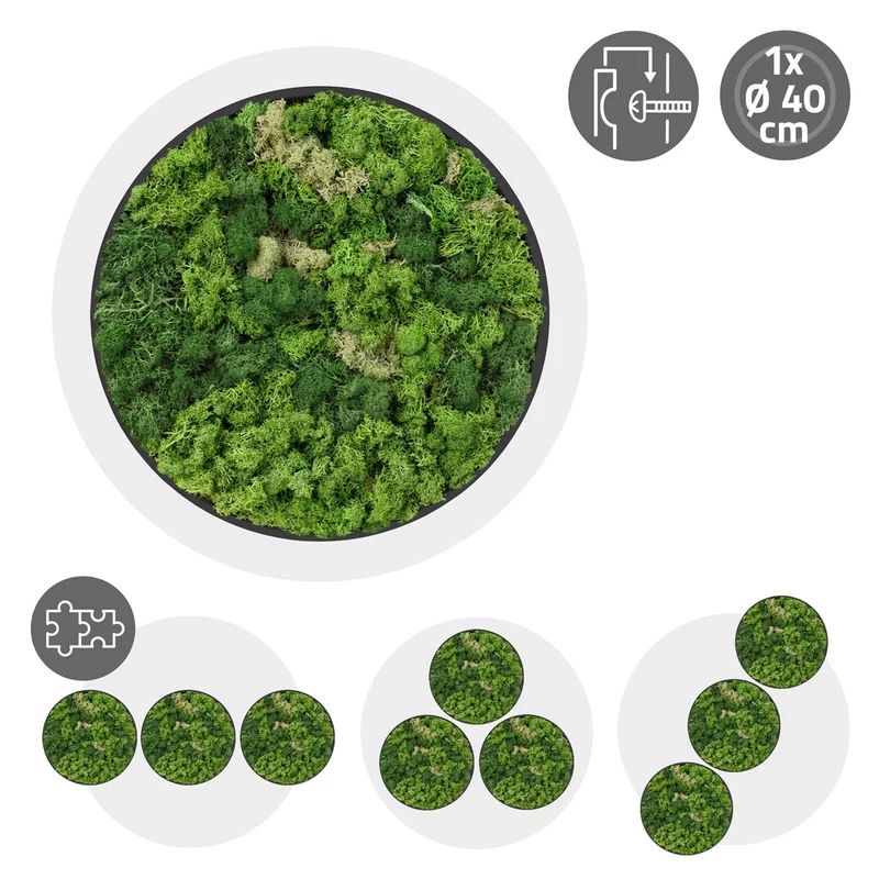 ECD GERMANY | Moosbild mit echtem Islandmoos, Rund, Ø 40 cm, Grün, Mooswand Indoor, Wanddeko mit Holzrahmen, Wandbild, Moos Deko für Haus & Büro