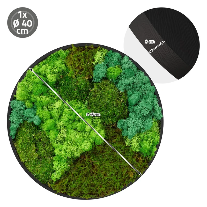 ECD GERMANY | Moosbild mit echtem Kugel-, Island- und Flachmoos-Mix Rund Ø 40 cm Grün Mooswand Indoor Wanddeko Holzrahmen Wandbild für Haus Büro
