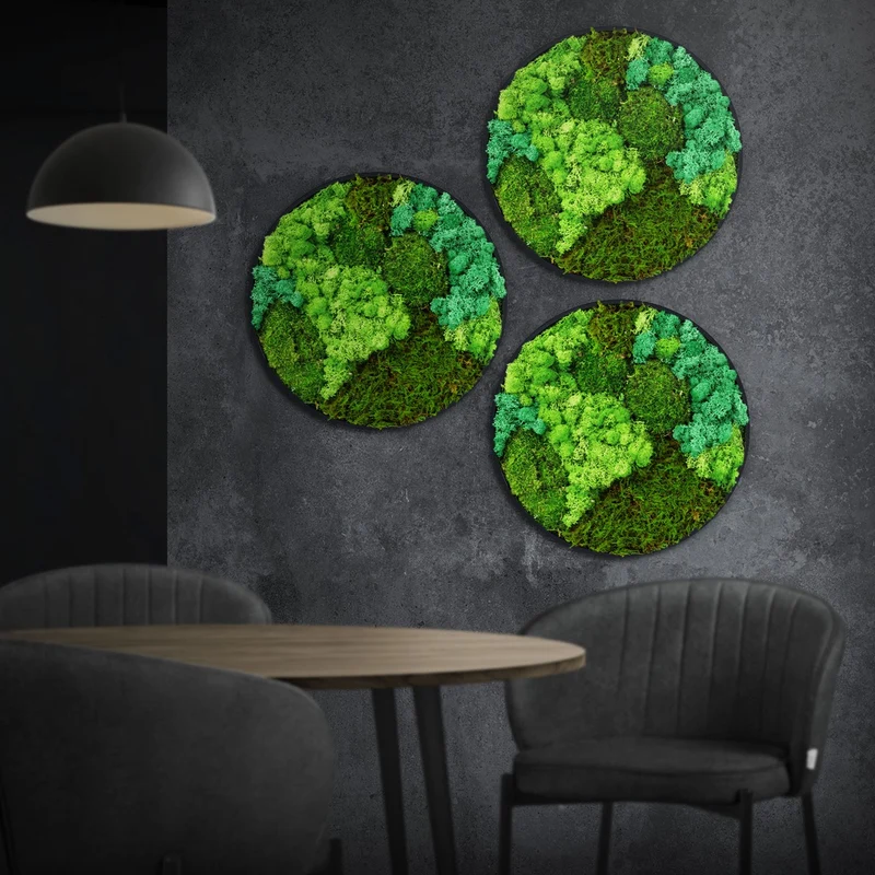ECD GERMANY | Moosbild mit echtem Kugel-, Island- und Flachmoos-Mix Rund Ø 40 cm Grün Mooswand Indoor Wanddeko Holzrahmen Wandbild für Haus Büro