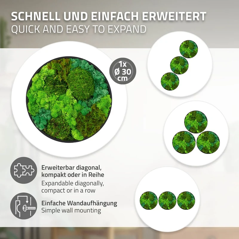ECD GERMANY | Moosbild mit echtem Kugel-, Island- und Flachmoos-Mix Rund Ø 30 cm Grün Mooswand Indoor Wanddeko Holzrahmen Wandbild für Haus Büro