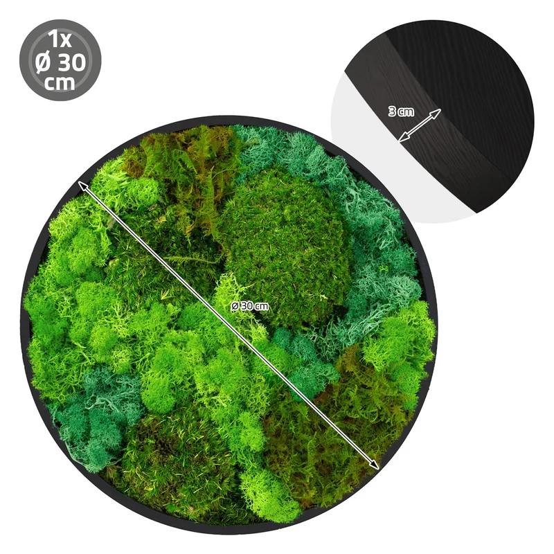ECD GERMANY | Moosbild mit echtem Kugel-, Island- und Flachmoos-Mix Rund Ø 30 cm Grün Mooswand Indoor Wanddeko Holzrahmen Wandbild für Haus Büro