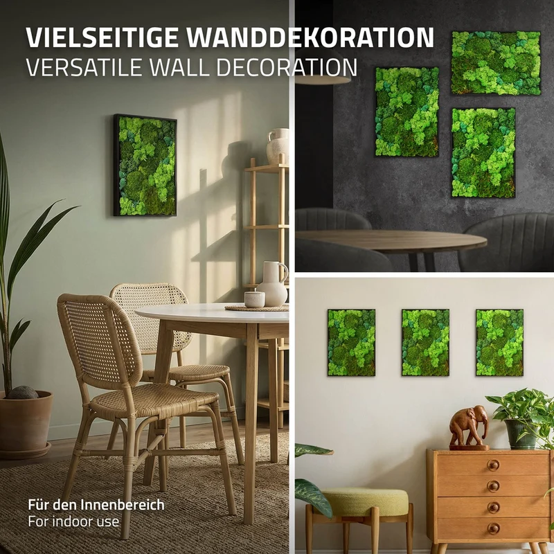 ECD GERMANY | Moosbild mit echtem Kugel-, Island- und Flachmoos-Mix Rechteck 38x27 cm Grün Mooswand Indoor Wanddeko Holzrahmen Wandbild für Haus Büro