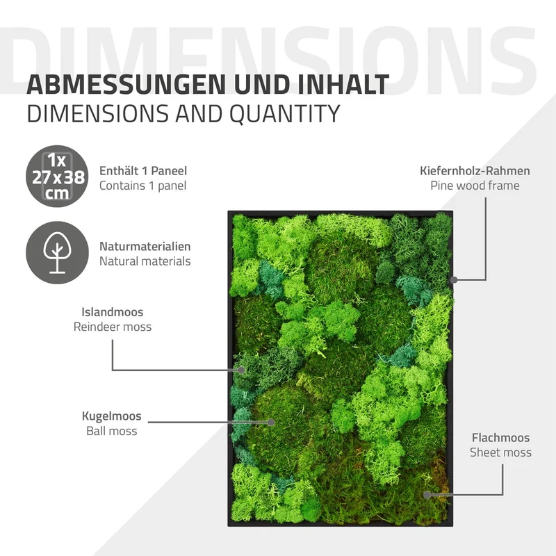 ECD GERMANY | Moosbild mit echtem Kugel-, Island- und Flachmoos-Mix Rechteck 38x27 cm Grün Mooswand Indoor Wanddeko Holzrahmen Wandbild für Haus Büro