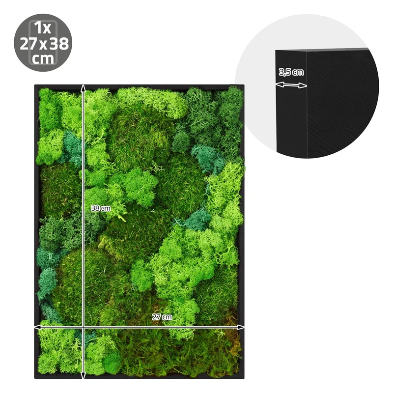 ECD GERMANY | Moosbild mit echtem Kugel-, Island- und Flachmoos-Mix Rechteck 38x27 cm Grün Mooswand Indoor Wanddeko Holzrahmen Wandbild für Haus Büro