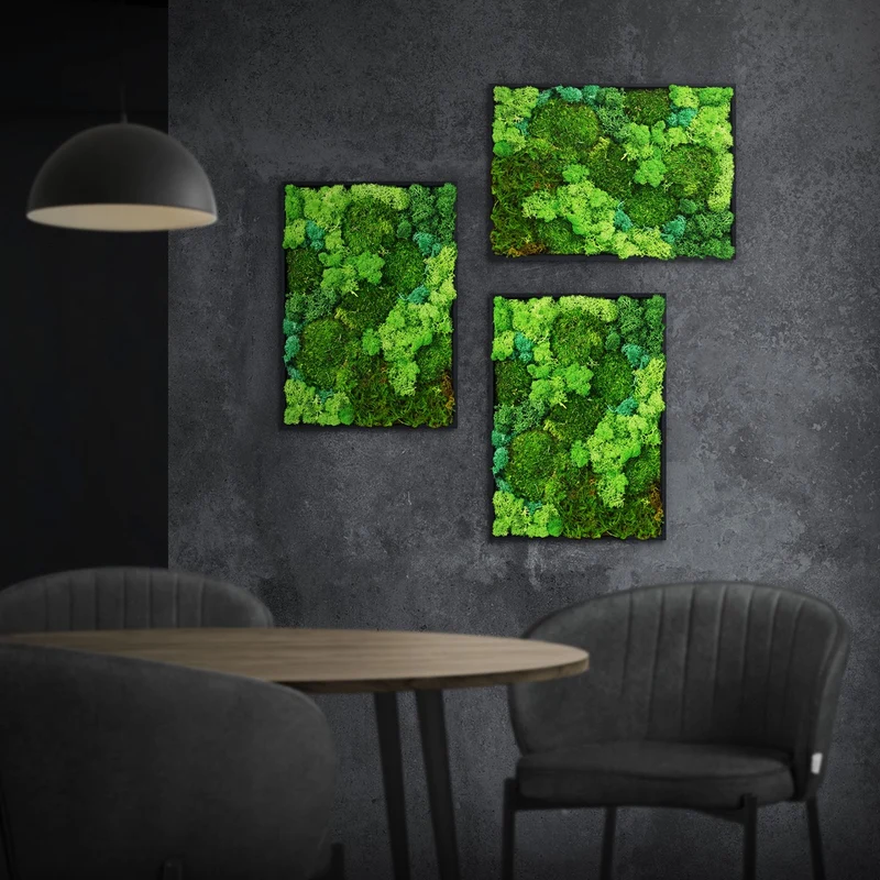 ECD GERMANY | Moosbild mit echtem Kugel-, Island- und Flachmoos-Mix Rechteck 38x27 cm Grün Mooswand Indoor Wanddeko Holzrahmen Wandbild für Haus Büro