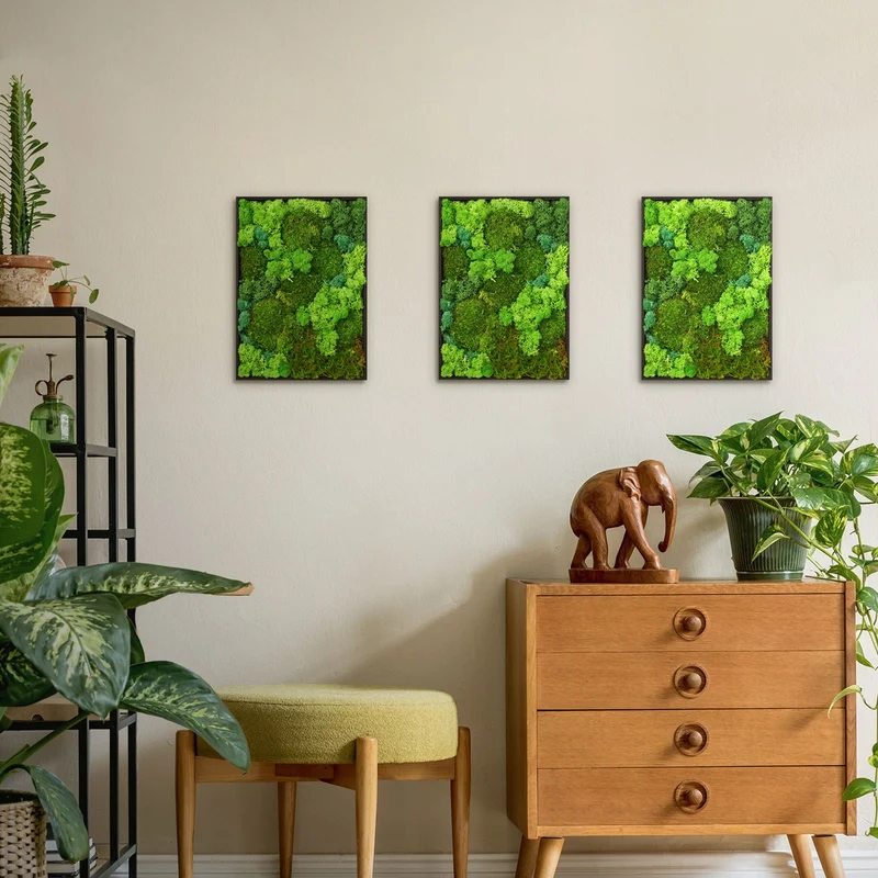 ECD GERMANY | Moosbild mit echtem Kugel-, Island- und Flachmoos-Mix Rechteck 38x27 cm Grün Mooswand Indoor Wanddeko Holzrahmen Wandbild für Haus Büro