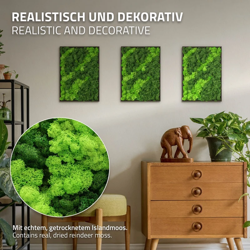 ECD GERMANY | Moosbild mit echtem Islandmoos, Rechteck, 38x27 cm, Grün, Mooswand Indoor, Wanddeko mit Holzrahmen, Wandbild, Moos Deko für Haus & Büro