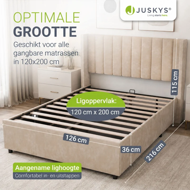 Polsterbett Savona