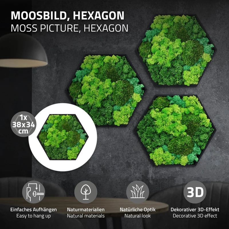 ECD GERMANY | Moosbild mit echtem Kugel-, Island- und Flachmoos-Mix Hexagon 38x34 cm Grün Mooswand Indoor Wanddeko Holzrahmen Wandbild für Haus Büro