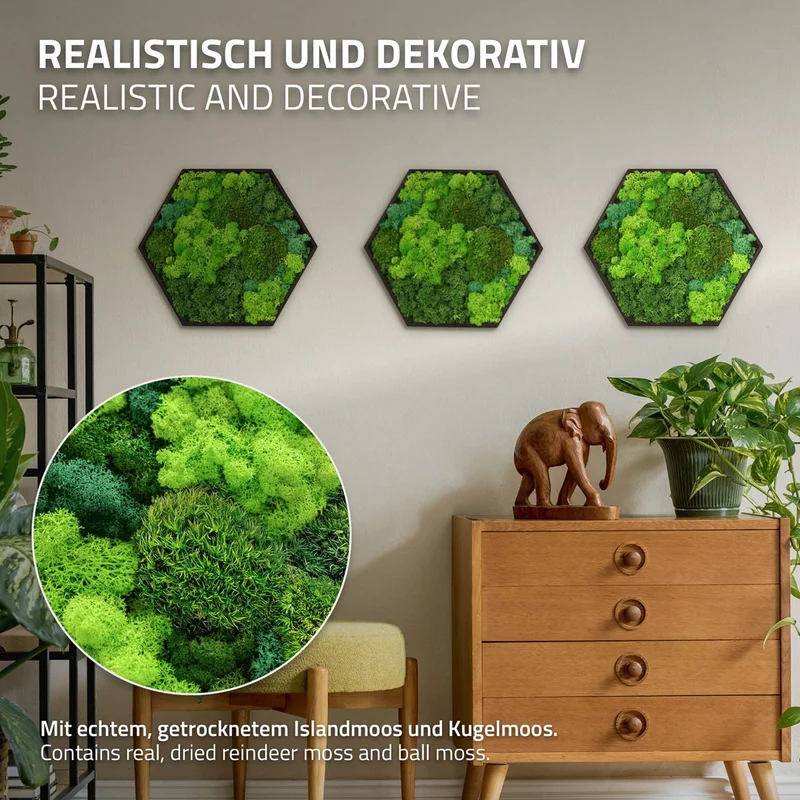 ECD GERMANY | Moosbild mit echtem Kugel-, Island- und Flachmoos-Mix Hexagon 38x34 cm Grün Mooswand Indoor Wanddeko Holzrahmen Wandbild für Haus Büro