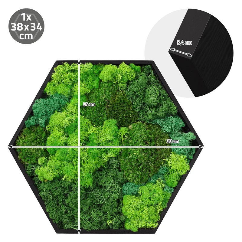 ECD GERMANY | Moosbild mit echtem Kugel-, Island- und Flachmoos-Mix Hexagon 38x34 cm Grün Mooswand Indoor Wanddeko Holzrahmen Wandbild für Haus Büro
