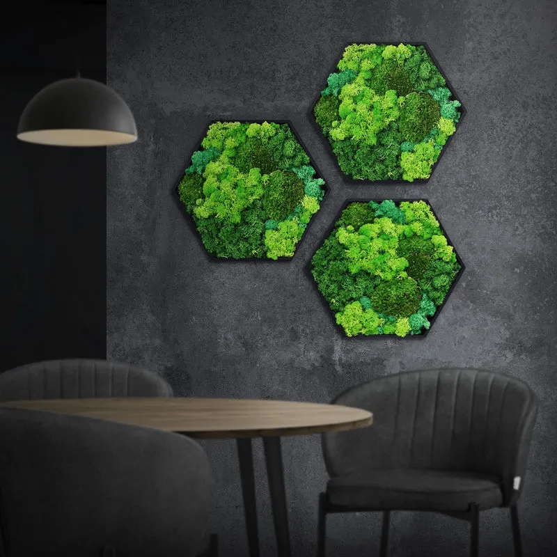 ECD GERMANY | Moosbild mit echtem Kugel-, Island- und Flachmoos-Mix Hexagon 38x34 cm Grün Mooswand Indoor Wanddeko Holzrahmen Wandbild für Haus Büro