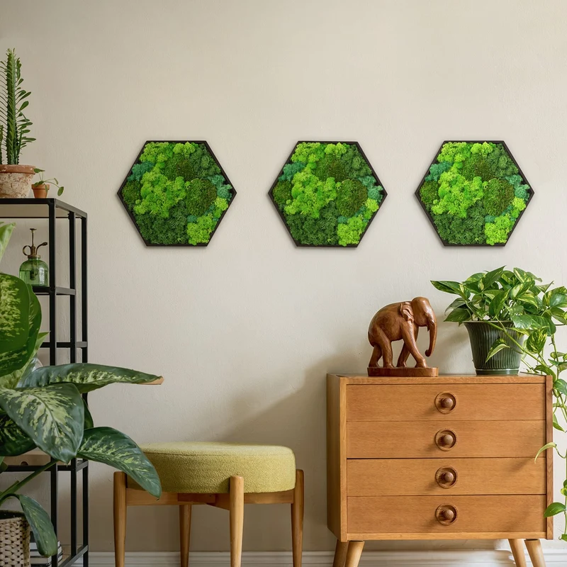 ECD GERMANY | Moosbild mit echtem Kugel-, Island- und Flachmoos-Mix Hexagon 38x34 cm Grün Mooswand Indoor Wanddeko Holzrahmen Wandbild für Haus Büro