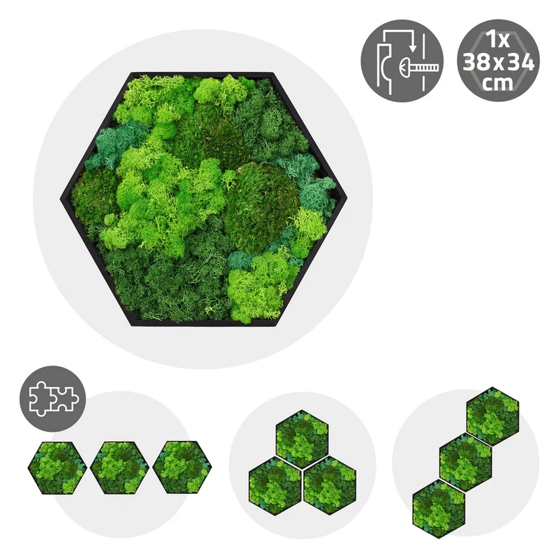 ECD GERMANY | Moosbild mit echtem Kugel-, Island- und Flachmoos-Mix Hexagon 38x34 cm Grün Mooswand Indoor Wanddeko Holzrahmen Wandbild für Haus Büro