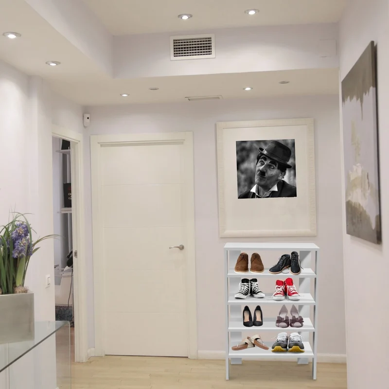 Coemo Schuhregal Charlie mit 5 Ablagen