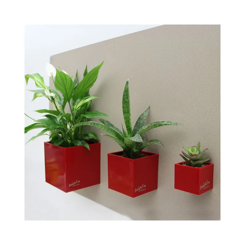 KalaMitica® Magnetische Würfelbehälter Neodym, Ø 3,5-6-9, Rot, 3 Stk.