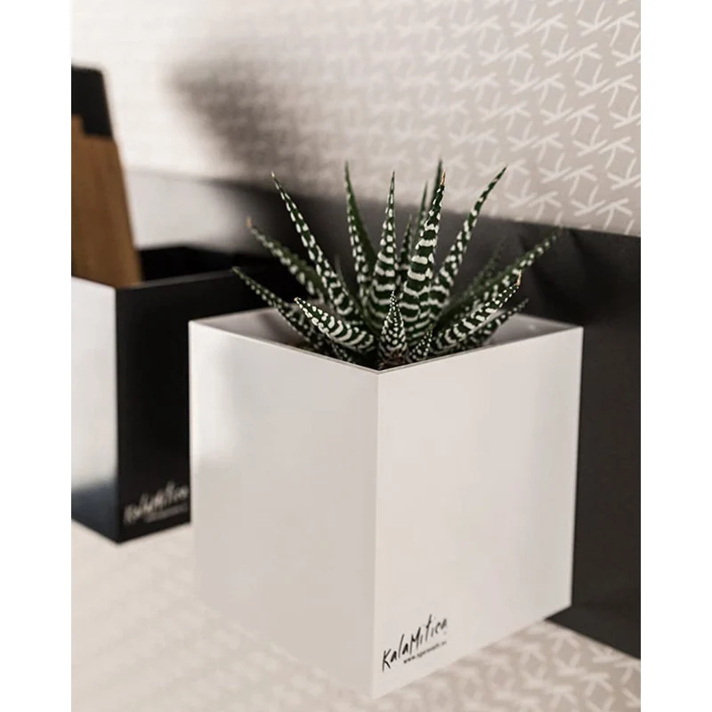 KalaMitica® Magnetische Würfelbehälter Neodym, Ø6cm, Weiss, 3 Stk.