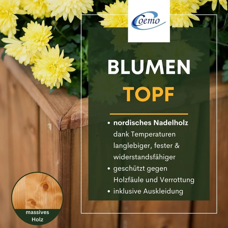 Coemo Blumenkasten Riga groß Holz Kräuterbeet Pflanzkübel