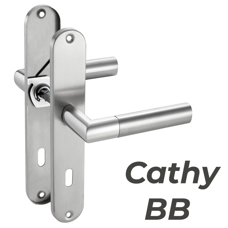 Türgriff Renovierungsgarnitur Langschild Edelstahl 240x50 CATHY