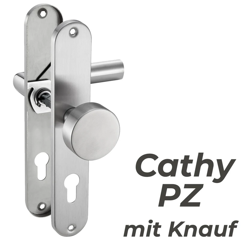 Türgriff Renovierungsgarnitur Langschild Edelstahl 240x50 CATHY