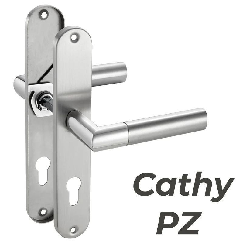 Türgriff Renovierungsgarnitur Langschild Edelstahl 240x50 CATHY