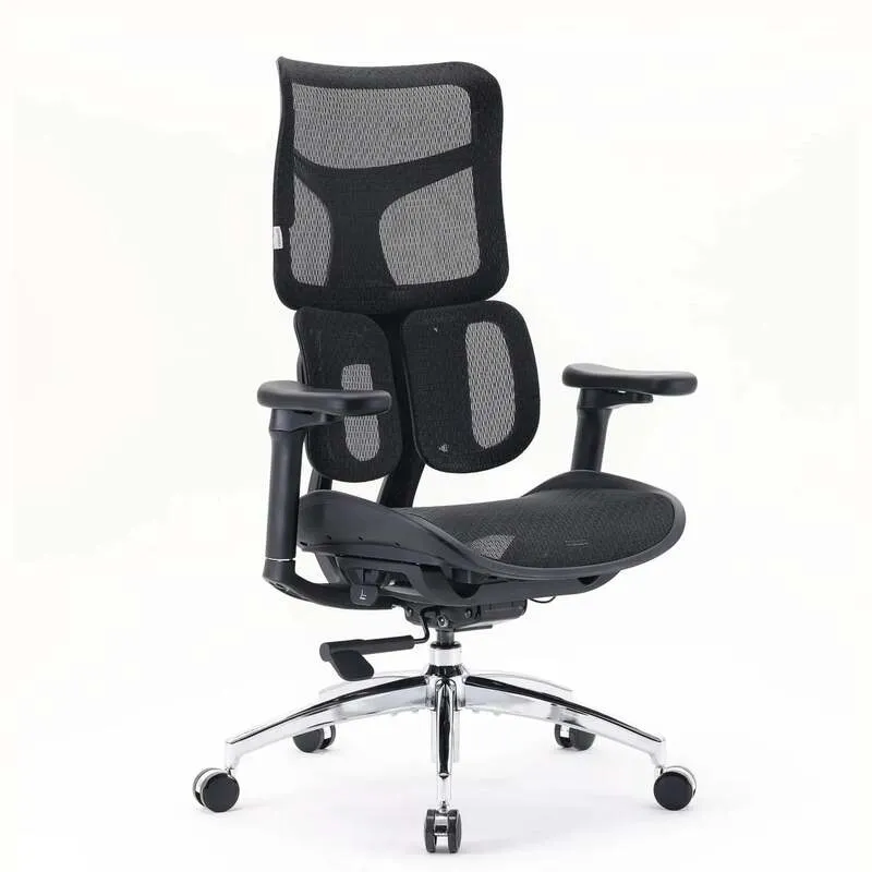 B-Ware SIHOO Bürostuhl Ergonomischer Stuhl S100 Schwarz Netzstoff Höhenverstellbar