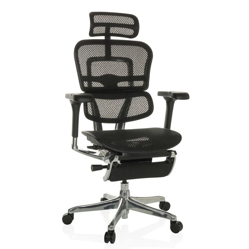 B-Ware hjh OFFICE Bürostuhl Chefsessel ERGOHUMAN PLUS LEGPRO I schwarz mit Beinablage