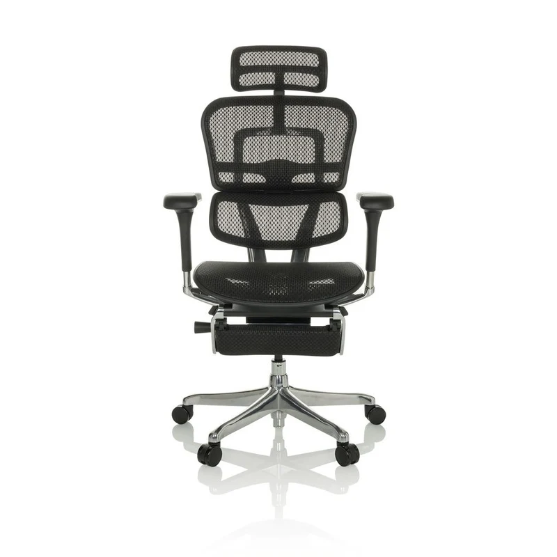 B-Ware hjh OFFICE Bürostuhl Chefsessel ERGOHUMAN PLUS LEGPRO I schwarz mit Beinablage