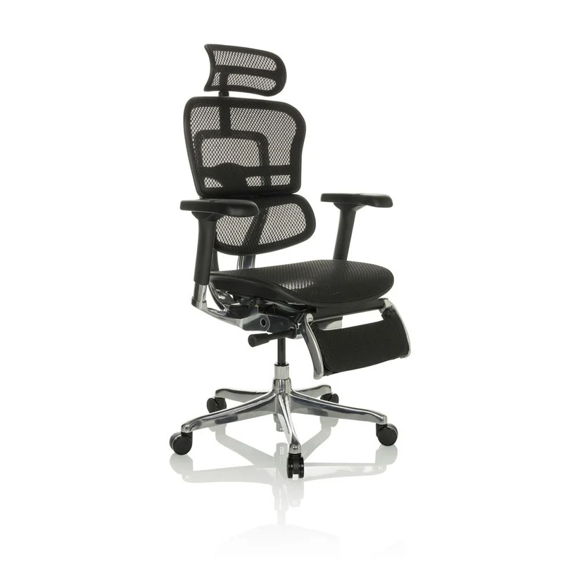 B-Ware hjh OFFICE Bürostuhl Chefsessel ERGOHUMAN PLUS LEGPRO I schwarz mit Beinablage