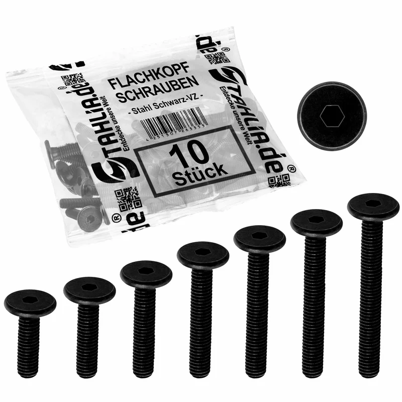 10x Flachkopfschrauben M6 Schwarz verzinkt