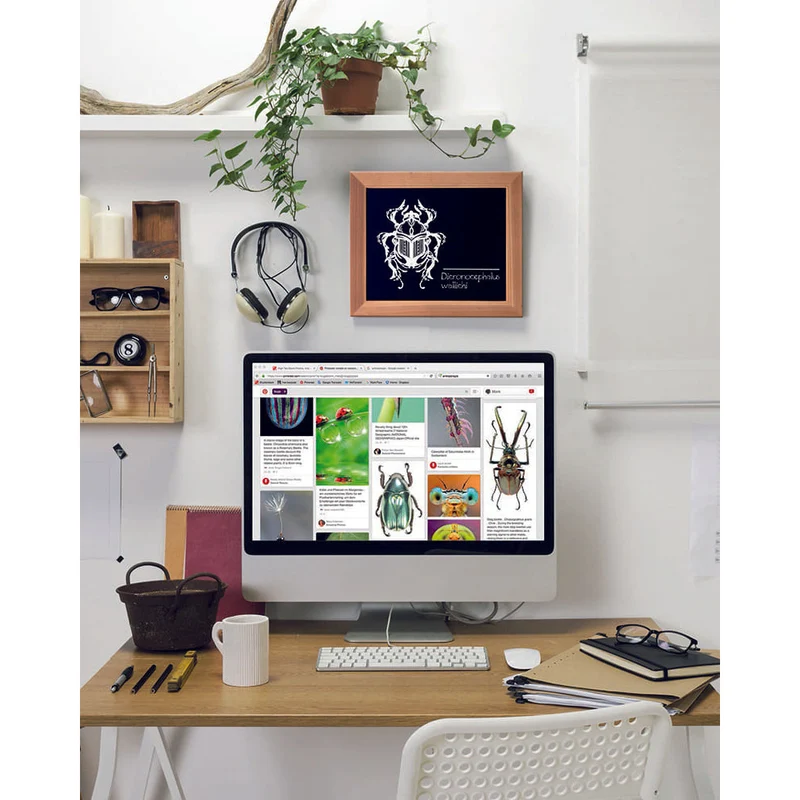 Securit® Kreidetafel mit Holzrahmen, Budget, Hellbraun, 20x24cm