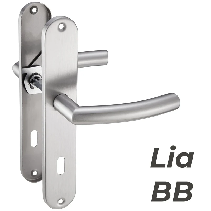 Türgriff Edelstahl Langschild Renovierungsgarnitur Set 240x50mm LIA