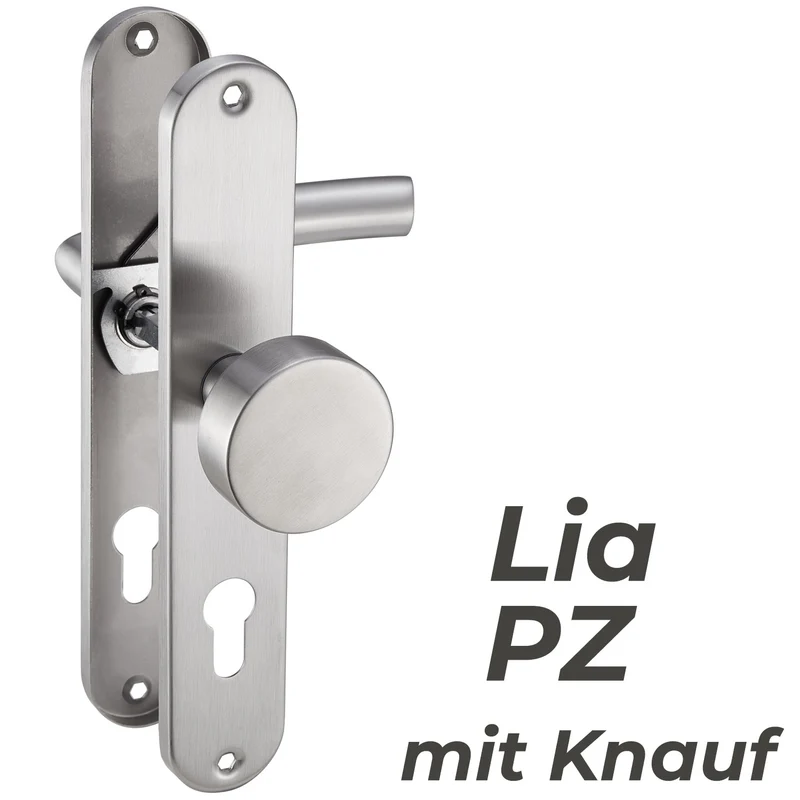 Türgriff Edelstahl Langschild Renovierungsgarnitur Set 240x50mm LIA