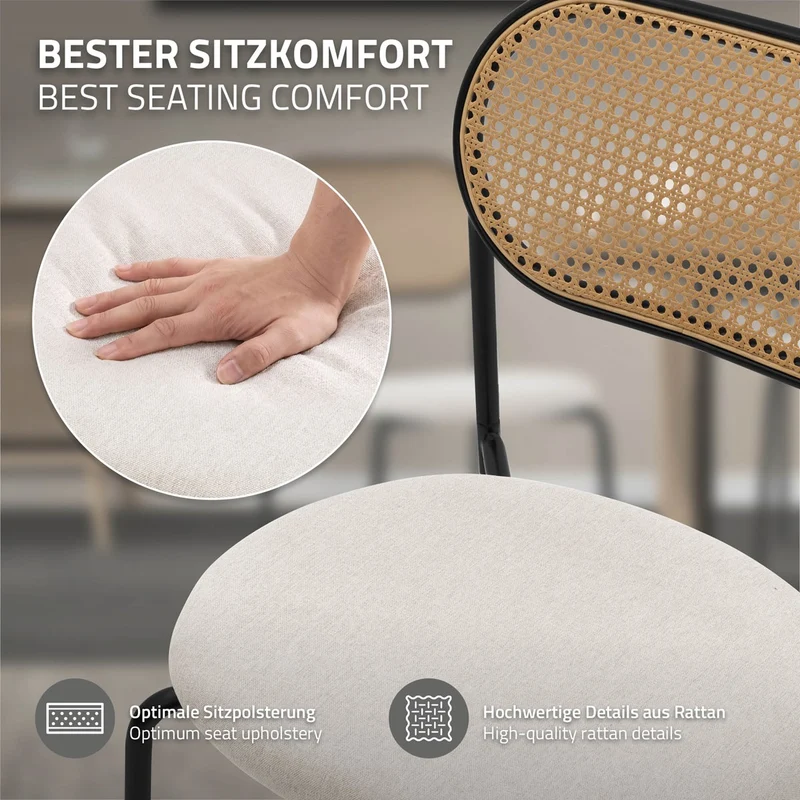 Esszimmerstuhl 2er Set in Rattan Optik mit Rückenlehne bis 120 Kg ML-Design