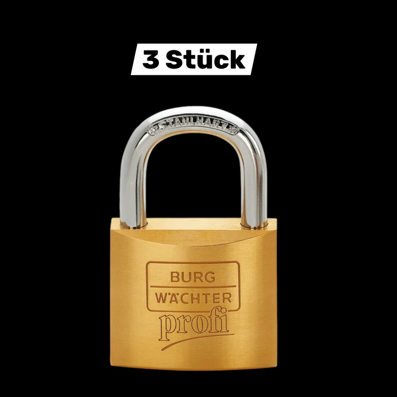 B-Ware Burg-Wächter Vorhangschloss Zylinder Schloss 50mm verschiedenschließend 3 STÜCK