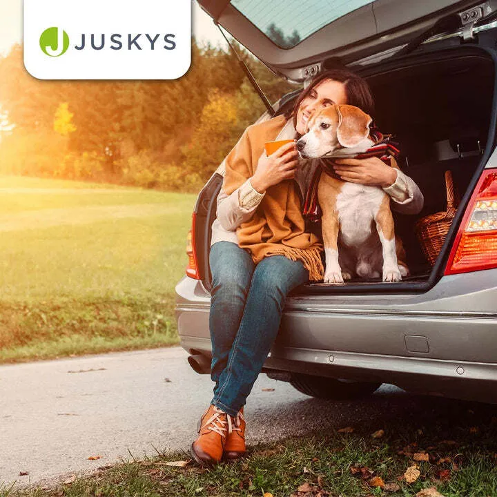 B-Ware Hundebox Auto faltbar Lassie Transportbox Tragegriff Liegedecke S kleine Hunde