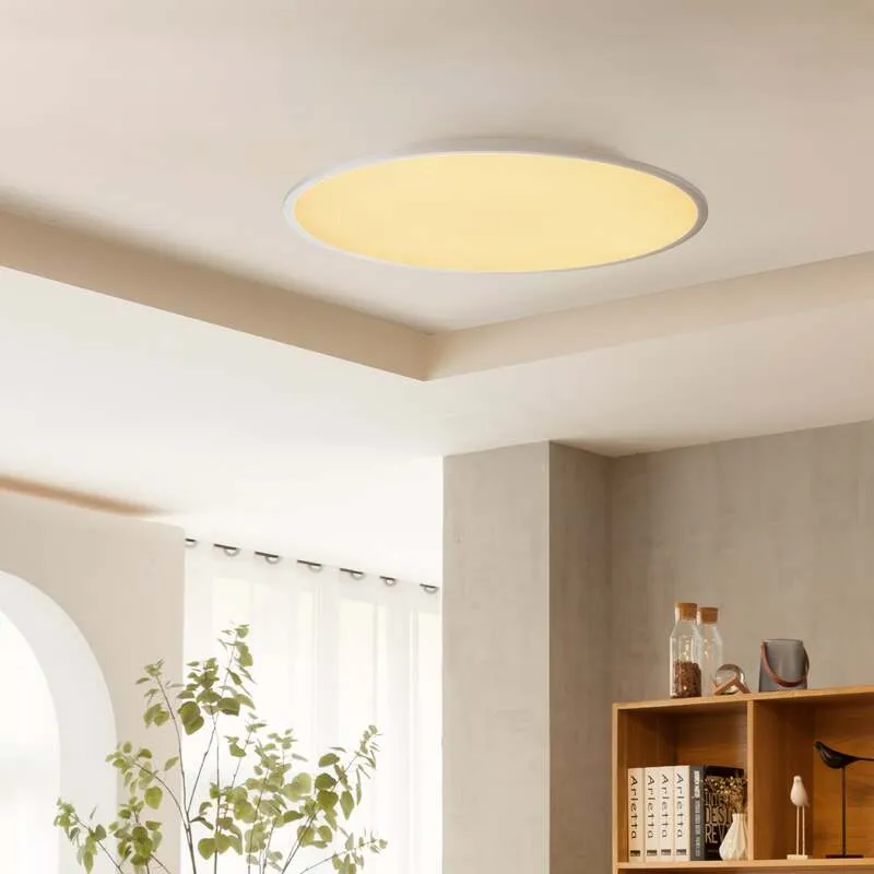 B-Ware Lindby Deckenlampe Deckenleuchte Narima LED Lampe dimmbar silber Ø80cm CCT Licht