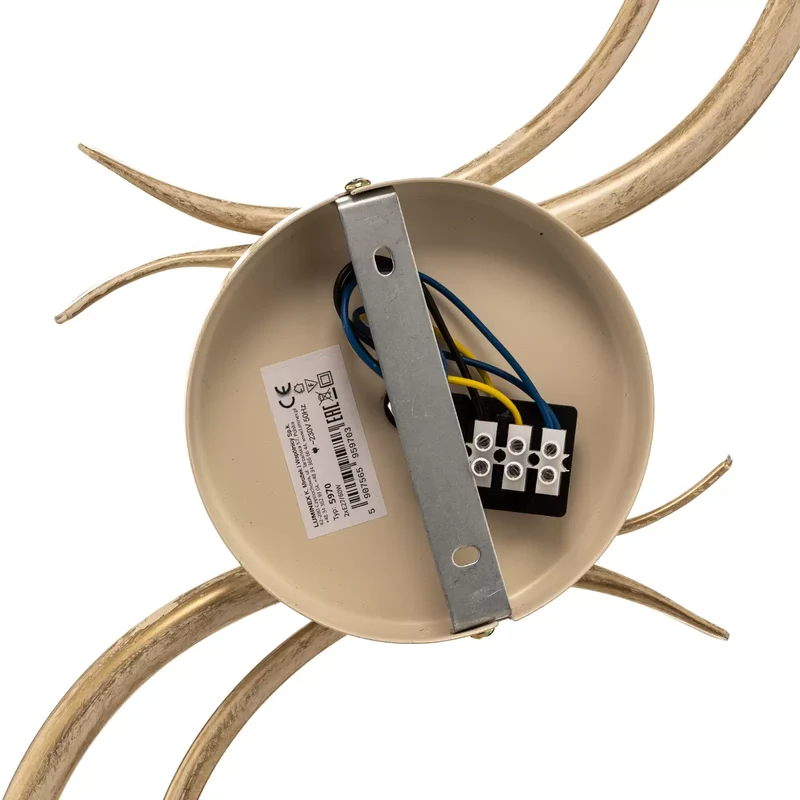B-Ware Deckenlampe Flora Spot Spotleuchte Leuchte Lampe Deckenleuchte LED-Leuchte Licht