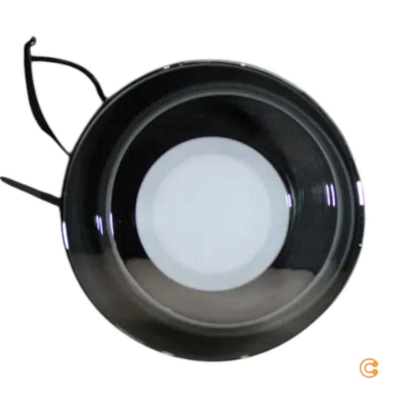 B-Ware Paul Neuhaus Hängelampe Pendelleuchte LED Glas schwarz dimmbar Rika 135 cm361